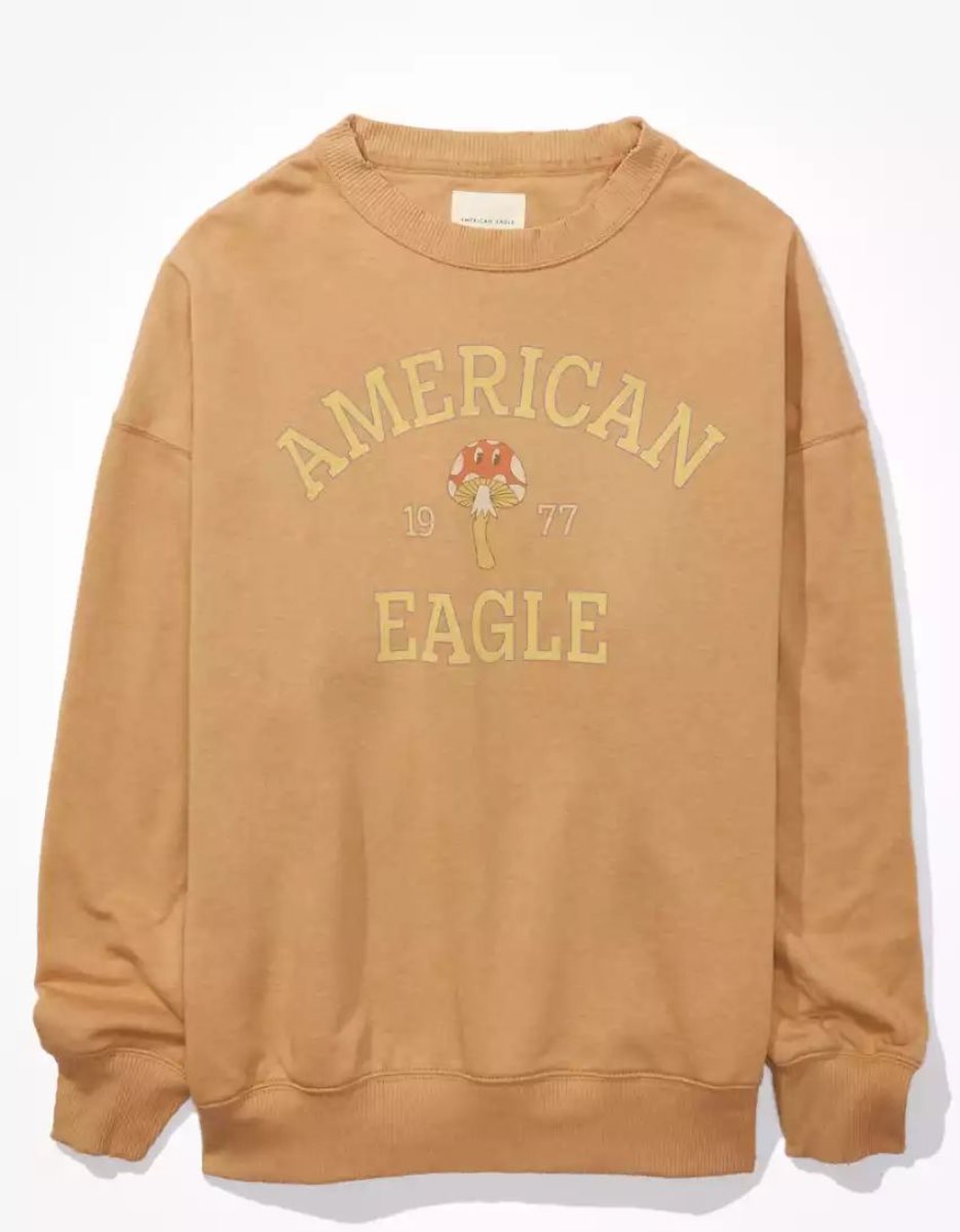 T Shirt Graphique American Eagle AE Oversized Marron Femme | OMN-04521378